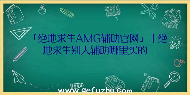 「绝地求生AMG辅助官网」|绝地求生别人辅助哪里买的